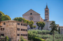 assisi